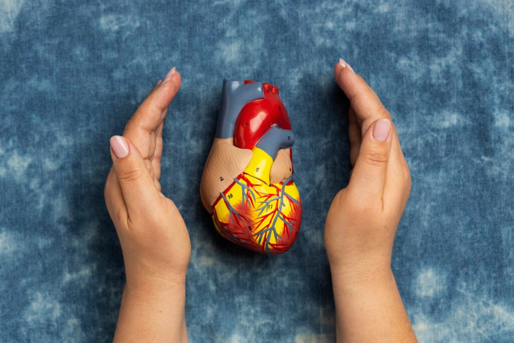heart