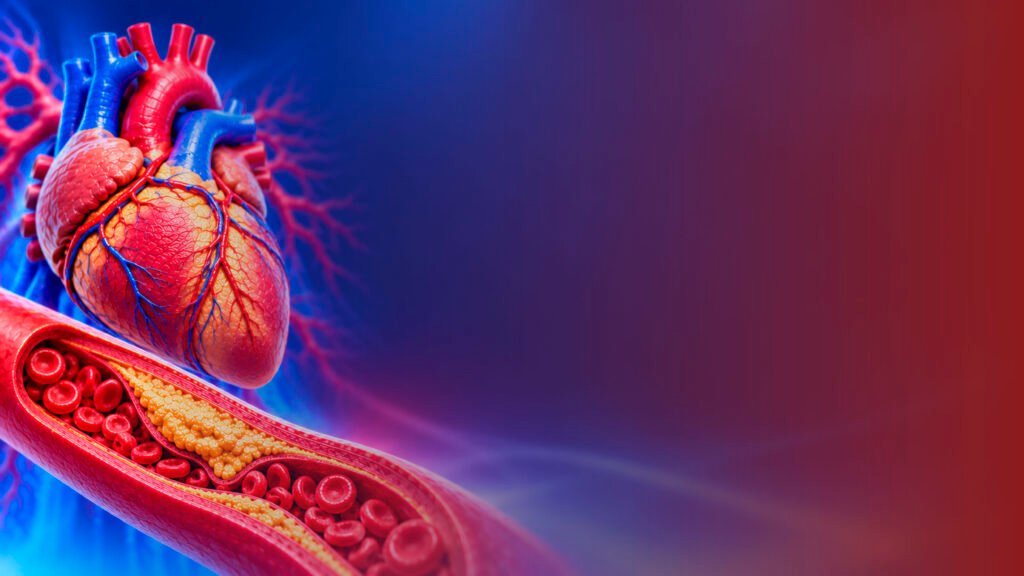 Heart